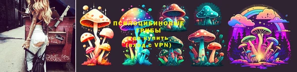 прущие крисы Баксан