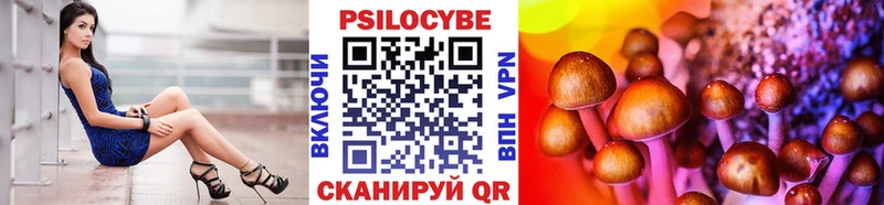 продажа наркотиков  Черногорск  Галлюциногенные грибы мухоморы 